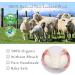 Buy 6-Pack Premium Wool Dryer Balls - Natural Fabric Softener Hypoallergenic & Baby Safe | Eco-Friendly Laundry Solution - Buy Online on SooperMarket.com