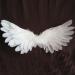 HaiMay 450 White Feathers for Craft Wedding & Party Decor 3-5 inches - Home Decorations - Buy Online on SooperMarket.com