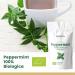 Mint Tea Loose Leaf Organic 100g (50 Cups) | Peppermint Loose Herbal Tea REPLANTEA - Buy Online on SooperMarket.com