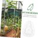 Milisten Gardening Tools 6 pcs Watermelon Mould Tools Clear Supplies Growing Garden Vegetable Multifunction Moldvegetable Transparentx2pcs 9x8cmx2pcs - Buy Online on SooperMarket.com