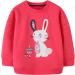 Girls Bunny Sweatshirt - Cotton Casual Jumper for Toddler Age 2-3 Years - Buy Online on SooperMarket.com