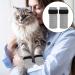 KALIONE Cat Boots 4 Packs cat Claw Covers Black Anti Scratch Cat Mittens Breathable Mesh Cat Foot Covers Adjustable Cat Claw Protectors for Indoor Cats Pet Bathing Cutting Nails Grey - Buy Online on SooperMarket.com