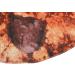 Topincn Cookie Ceiling for Adults - Stylish Flannel Comfortable & Funny Pub Ceiling Decor - Buy Online on SooperMarket.com