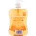 Astonish Protect & Care Citrus Grove Hand Wash 650ml | Moisturising & Anti-Bacterial - Buy Online on SooperMarket.com