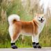 Valicaer Paw Protector Dog Boots Set of 4 Dog Shoes for Injured Paws Silicone Anti Slip Dog Paw Protectors Adjustable Socks Shoes for Small Medium Large Dogs Soft and Waterproof Dog Booties - Buy Online on SooperMarket.com