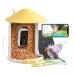 Birdfy bird feeder with camera bird house with camera feed stations for wild birds bird feeding with camera record video bird feeder camera with AI detection birds (birdfy ki+solar) yellowbirdfy+solar