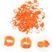 CIYODO 100 Pcs Pigeon Anklet Baby Bangles Chicken Feet Foot Ring for Pigeon Racing Pigeon Ring Meat Pigeon 1.3X1.3CM Orange - Buy Online on SooperMarket.com