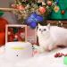 Interactive Cat Toy - All For Paws Flutter Bug Wand with Motion-Activated Butter-fly - Buy Online on SooperMarket.com