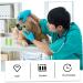 HAPINARY 1 Set Pet Toothbrush Pet Mouth Cleaning Tool Pet Dog Toothbrush Cat Toothpaste Tools Pets Pp - Buy Online on SooperMarket.com