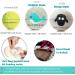 Organic Wool Dryer Balls - New Dolphin Design | Reusable Laundry Felt Balls with Crafting Box | Reduce Drying Time & Wrinkles - Style-3 - Buy Online on SooperMarket.com