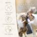 Felisept Family Comfort Relaxing Agent in Multi-Cat Household Plug-In Diffuser and Refill 45ml Starter Set - With natural catnip - Cat plug in calmer - Release tensions and reduce sustainably Starter Set (Diffuser + Refill 45ml) - Buy Online on SooperMarket.com