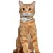 Oopsdoggy Leather AirTag Cat Collar with Bells - Durable GPS Pet Neckband for Cats & Small Dogs (White) - Buy Online on SooperMarket.com