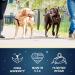 2 Hounds Design Freedom No-Pull Dog Harness for Easy Walking | Adjustable & Gentle Control | Made in USA | Red | Large (Chest 28-32) - Buy Online on SooperMarket.com