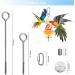 4 Pack Parrot Spit Toys - Stainless Steel Fruit & Vegetable Holders for Budgies & Nymphensittich - Perfect Hanging Feeders for Parrots - Buy Online on SooperMarket.com