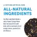 Zest Tea Blue Lady Black Tea - High Caffeine Energy Blend | 135mg per Serving | Keto-Friendly | 15 Sachets - Buy Online on SooperMarket.com