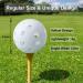 50 Pack Golf Training Balls for Driving Range and Swing Training - Indoor/Outdoor Use - Buy Online on SooperMarket.com