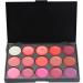 FantasyDay Pro Matte 15 Colors Lip Gloss Palette | Non-Sticky Lipgloss Makeup Kit for Flawless Contouring - Shop Internationally - Buy Online on SooperMarket.com