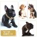 Cuban Connection Dog Collar - 17.7 Cuban Link Chain Alloy Diamond Gold Bling Jewelry for Dogs & Cats - Buy Online on SooperMarket.com