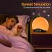 Bluetooth Daylight Alarm Clock with Sunrise Simulation & 22 Natural Sounds | Wake Up Light & Bedside Lamp for Kids - 20 Brightness Levels - Buy Online on SooperMarket.com