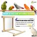 Blessed Family Bird Parakeet Mirror - Wooden Perch Stand and Swing Toy for Parrot Cage - Parakeet Accessories for Various Bird Species - 1 Piece - Buy Online on SooperMarket.com