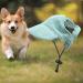 Predolo Pet Sports Hat - Fashionable Dog Solar Hat with Ear Holes | Sun Protection Baseball Cap for Small Dogs - Green L - Buy Online on SooperMarket.com