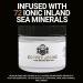 Buy Beard Butter for Men - Shea Butter Jojoba Oil Sea Minerals | Moisture Softness Control & Sundance-Citrus Scent - 2 oz - Buy Online on SooperMarket.com