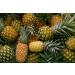 Organic Dried Pineapple Rings  1 Pound - Non-GMO  Flavorful Chewy Fruit Snack  Vegan  Unsulfured  No Sugar Added  Bulk  Great Addition to Desserts  Cakes  and Pies  No Sulphites  Unsweetened 1 Pound (Pack of 1) - Buy Online on SooperMarket.com