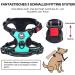 POPOT No-Pull Dog Harness - Reflective Pet Vest for Daily Training & Walking - Mint Blue (L) - Buy Online on SooperMarket.com