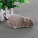 AVZYARDY Clockwork Mouse Toy Cat Plush Rat Mechanical Motion Interactive Toy(Grey) - Buy Online on SooperMarket.com