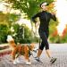 Buy Speelulu 1.8m - 3M Multifunctional Hands-Free Dog Leash | Adjustable Hip Belt & Shoulder Leash for Training Hiking & Running | International Shipping Available - Buy Online on SooperMarket.com