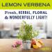 Buy MRS. MEYER'S CLEAN DAY Lemon Verbena Toilet Bowl Cleaner - 24 Fl Oz (Pack of 6) | Eco-Friendly & Effective International Shipping Available - Buy Online on SooperMarket.com