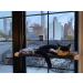Lcybem Cat Window Hammock - Sturdy Suction Cups Window Perch for Cats - Holds Two Large Cats - 360 Sunbathe - Indoor Cat Window Seat - Buy Online on SooperMarket.com