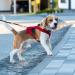 Rapidbok Adjustable Nylon Dog Leash - Durable Black Practice Leash for Small Medium and Large Dogs - Perfect for Courtyard & Freehand Use - Buy Online on SooperMarket.com