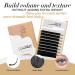 LashView 0.20mm D Curl Ellipse Flat Eyelash Extensions - Soft & Easy Application Mixed Tray (1 Pack) - Buy Online on SooperMarket.com