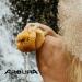 AROURA Natural Sea Wool Sponge | Shower & Bath Sponge | Natural Loofah | Sea Sponge for Body Care | Sea Sponge for Facial Cleansing & Body Washing | Natural Sponge Size 2 - (8-9 CM) - Buy Online on SooperMarket.com