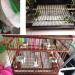LIZHOUMIL 100 Pieces Bird Cage Liners - Disposable Wooden Bird Mat for Parrot Cages - Cuttable Pet Pad Cushion Supplies - Medium Size (27x20cm) - Buy Online on SooperMarket.com