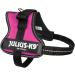 K9 Powerharness XS/Mini-Mini - Dark Pink | International Shipping Available - Buy Online on SooperMarket.com