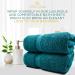 Pearl Linens Cotton Bath Sheet Pack of 2 - Quick Dry & Absorbent Oversize Towels for Hotel & Spa | Super Soft Teal Bath Sheet Set 35x70 - Buy Online on SooperMarket.com
