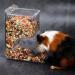 Hamsters Feeder Small Animals Automatic Dispenser Gravity Auto Dispensers Pet Pellets Food Storage Bowl - Dwarf Hamster Gerbils Mice Hedgehog Guinea Pig and Other Small Animal Ideal Feeding Station - Buy Online on SooperMarket.com