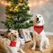 Shop Lionheart Glory Dog Haller Cotton Christmas Bib - Adjustable Red Plaid Neckerchief for Small Dogs | Packable Stylish & Comfortable - Buy Online on SooperMarket.com