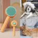BNFGD 1Pcs Pet Hair Cleaner Brush Cute Cat Brush Dog Brush Pet Combing Brush Pet Combing Brush with Hair Removal Button Artifact for Stroking Cats and Dogs Pet Hair Cleaner Brush(Orange) - Buy Online on SooperMarket.com