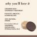 Burt's Bees Lip Balm & Lip Treatment Set - Overnight Intensive Care & Conditioning Scrub - 0.50 oz (Pack of 1) - Buy Online on SooperMarket.com