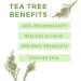 Body Prescriptions Tea Tree Peel-off Facial Mask - Deep Cleansing & Blackhead Removal - Buy Online on SooperMarket.com