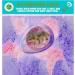 GLOWLYLITE - Colorful Dino Bath Bombs for Kids with Surprise Dinosaur Inside - Bubble Bath Gift with XL Toys and Stickers Included - Buy Online on SooperMarket.com