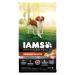 IAMS ADVANCED HEALTH Dog Food Dry IMMUNE HEALTH Adult Chicken & Superfoods Recipe 2.72kg Bag 2.72 kg (Pack of 1)