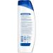 Head & Shoulders Deep Scalp Hydration 2-in-1 Anti-Dandruff Shampoo + Conditioner 370 mL - Buy Online on SooperMarket.com