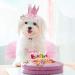 GAGILAND Dog Birthday Outfit - Pink Puppy Tutu Set with Adorable Hat and Necklace for Small Girl Dogs - Buy Online on SooperMarket.com