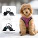 Ankilo Upgraded Harness with Leash Set Escape Proof Dog Vest Harnesses Vest Harnesses with Soft Mesh and Reflective Bands No Pull Small Dog Harness for Cats and Small Dogs (Rose-red S) - Buy Online on SooperMarket.com