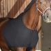 Stretch School Protection for Horses | Elastic Shoulder & Breast Protection Vest - Comfort Fit Anti-Bibs Black L - Buy Online on SooperMarket.com