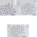 Unique Square Pointed Bottom Rhinestones For Nail Decoration Eye Catching Nail Accessories Square Pointed Bottom Rhinestones Pink middle - Buy Online on SooperMarket.com